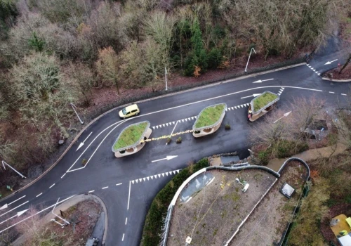 Centre Parcs Sedum Roofs