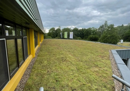 Green Roof Kleve