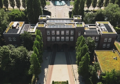 Green Roofs Amsterdam