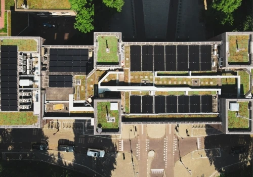 Green Roofs Amsterdam