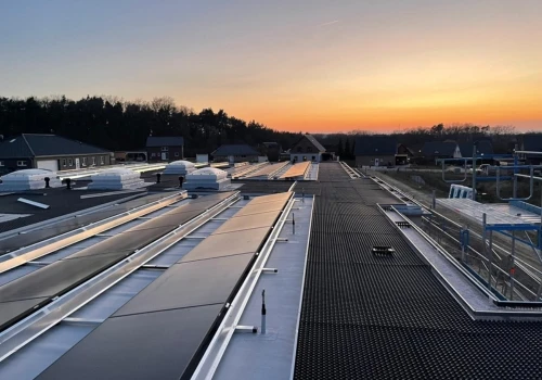 Sedum Roof Bad Bevensen