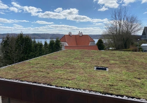 Sedum Roof Denmark