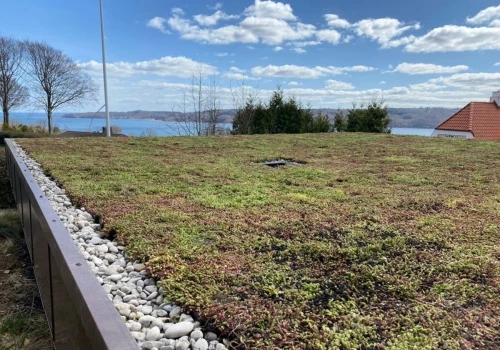 Sedum Roof Denmark