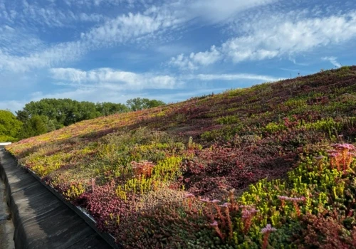 Finances green roofs